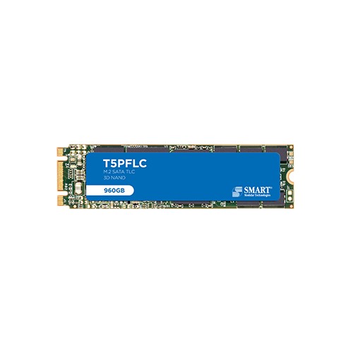 T5PFLC M.2 2280 SATA SSD