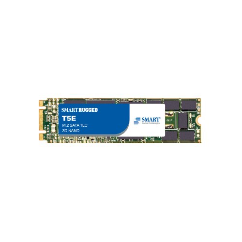 T5E M.2 2280 SATA SSD