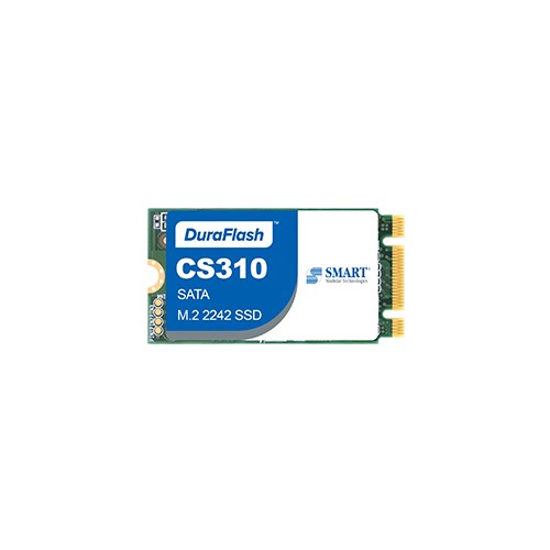 CS310 | SATA | M.2 2242 SSD