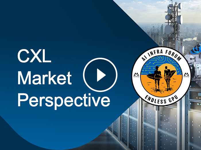 CXL Market Perspective: Get Ready for Adoption and Growth in 2025